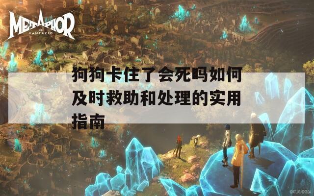 狗狗卡住了会死吗如何及时救助和处理的实用指南