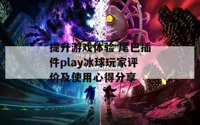 提升游戏体验 尾巴插件play冰球玩家评价及使用心得分享