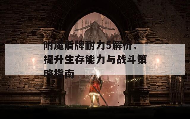 附魔盾牌耐力5解析：提升生存能力与战斗策略指南