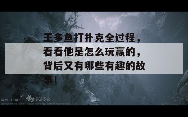 王多鱼打扑克全过程，看看他是怎么玩赢的，背后又有哪些有趣的故事！