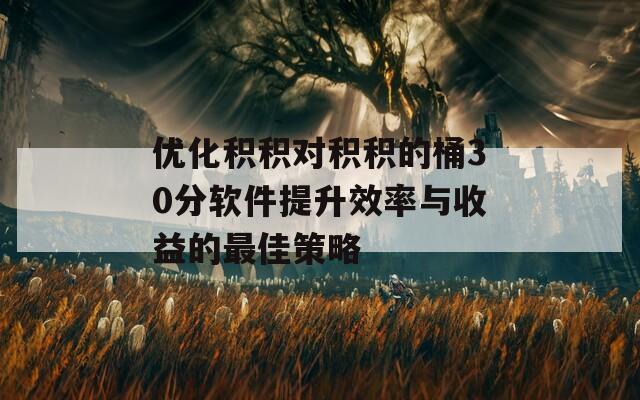 优化积积对积积的桶30分软件提升效率与收益的最佳策略