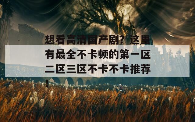 想看高清国产剧？这里有最全不卡顿的第一区二区三区不卡不卡推荐！