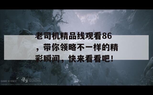 老司机精品线观看86，带你领略不一样的精彩瞬间，快来看看吧！