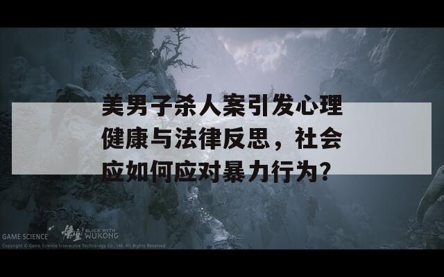 美男子杀人案引发心理健康与法律反思，社会应如何应对暴力行为？