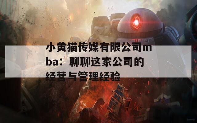 小黄猫传媒有限公司mba：聊聊这家公司的经营与管理经验