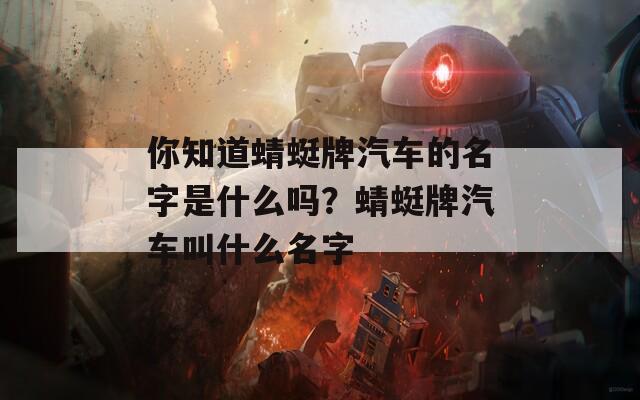 你知道蜻蜓牌汽车的名字是什么吗？蜻蜓牌汽车叫什么名字