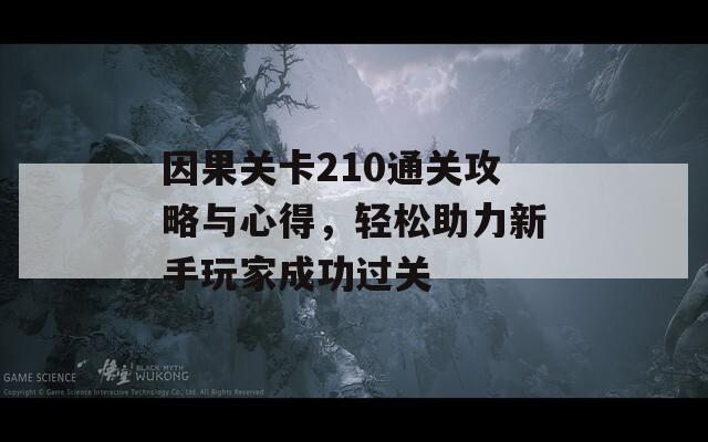 因果关卡210通关攻略与心得，轻松助力新手玩家成功过关