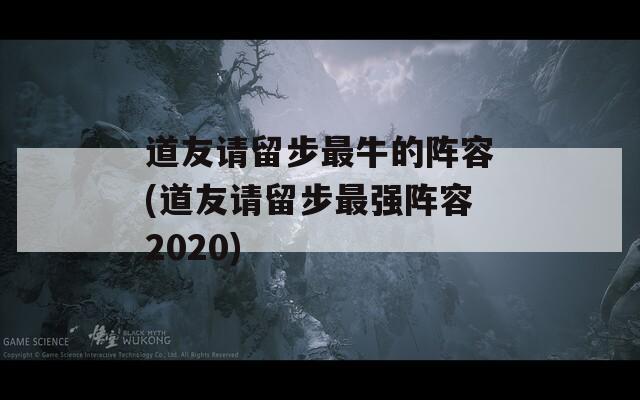 道友请留步最牛的阵容(道友请留步最强阵容2020)