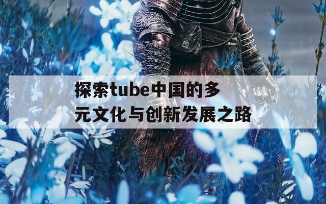 探索tube中国的多元文化与创新发展之路