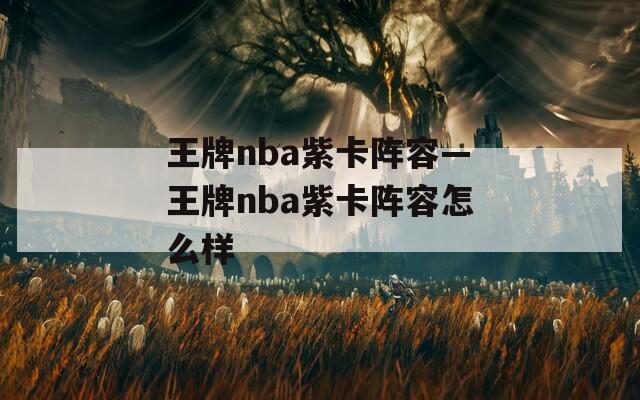 王牌nba紫卡阵容—王牌nba紫卡阵容怎么样