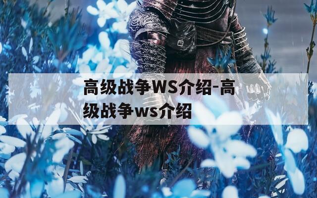 高级战争WS介绍-高级战争ws介绍