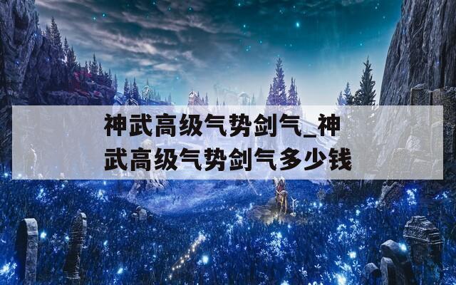 神武高级气势剑气_神武高级气势剑气多少钱