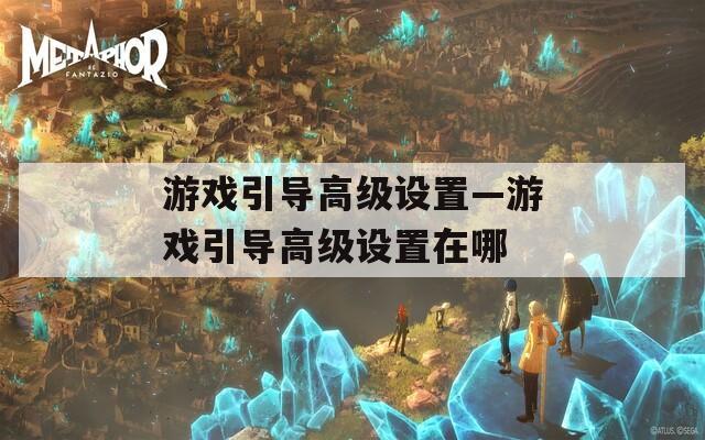 游戏引导高级设置—游戏引导高级设置在哪