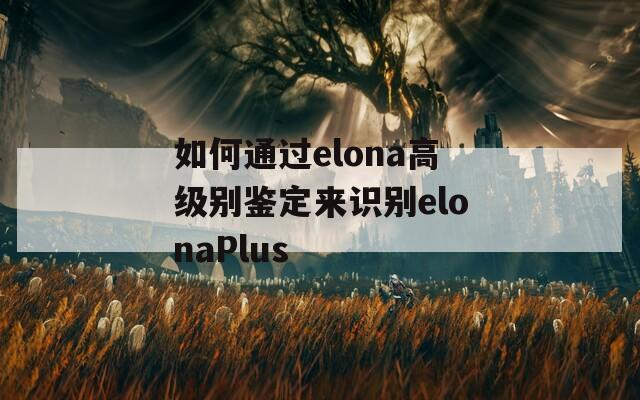 如何通过elona高级别鉴定来识别elonaPlus