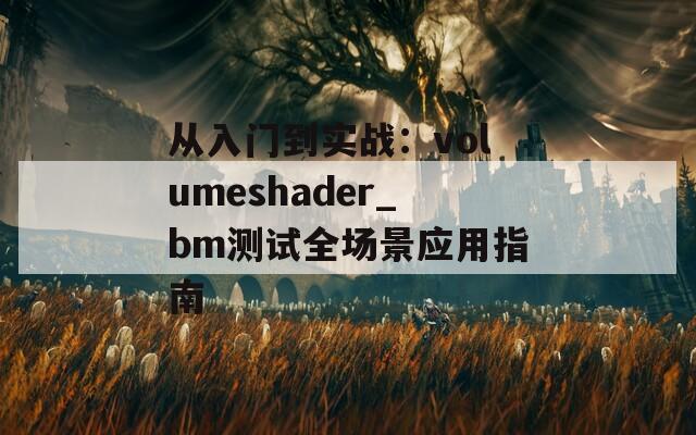 从入门到实战：volumeshader_bm测试全场景应用指南