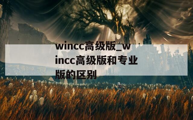 wincc高级版_wincc高级版和专业版的区别