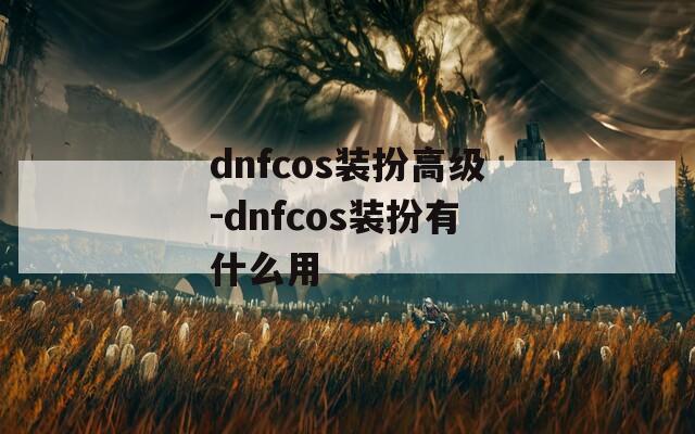 dnfcos装扮高级-dnfcos装扮有什么用