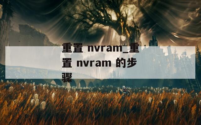 重置 nvram_重置 nvram 的步骤