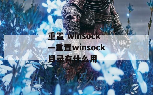 重置 winsock—重置winsock目录有什么用