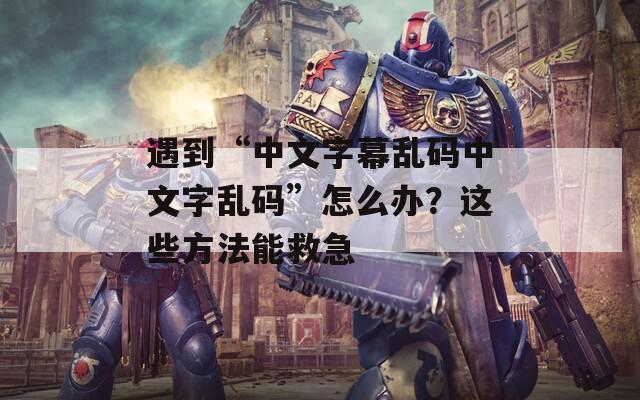 遇到“中文字幕乱码中文字乱码”怎么办？这些方法能救急