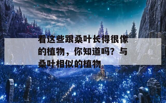 看这些跟桑叶长得很像的植物，你知道吗？与桑叶相似的植物