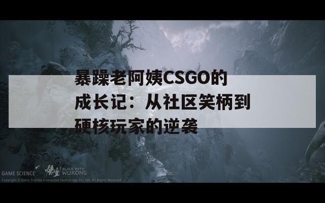 暴躁老阿姨CSGO的成长记：从社区笑柄到硬核玩家的逆袭