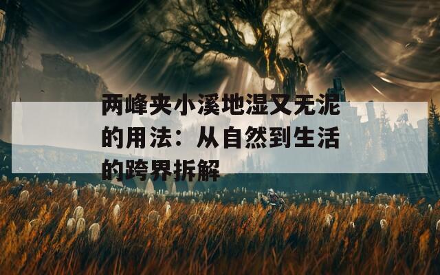 两峰夹小溪地湿又无泥的用法：从自然到生活的跨界拆解